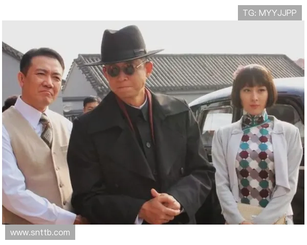 谍战风云，硝烟未尽：一部震撼心灵的谍战片电视剧大全